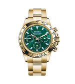 DAYTONA - GOLD GREEN "John Mayer"